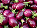 Brinjal