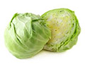 Cabbage