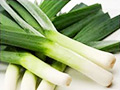 Leek