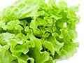 Lettuce